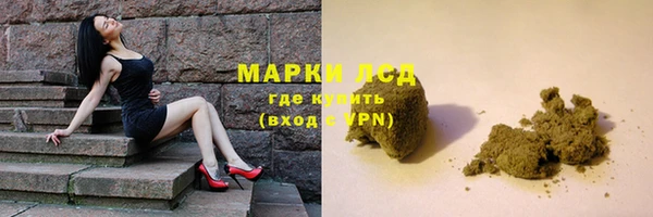 шишки Абаза