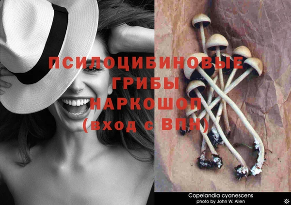ALPHA-PVP Алзамай