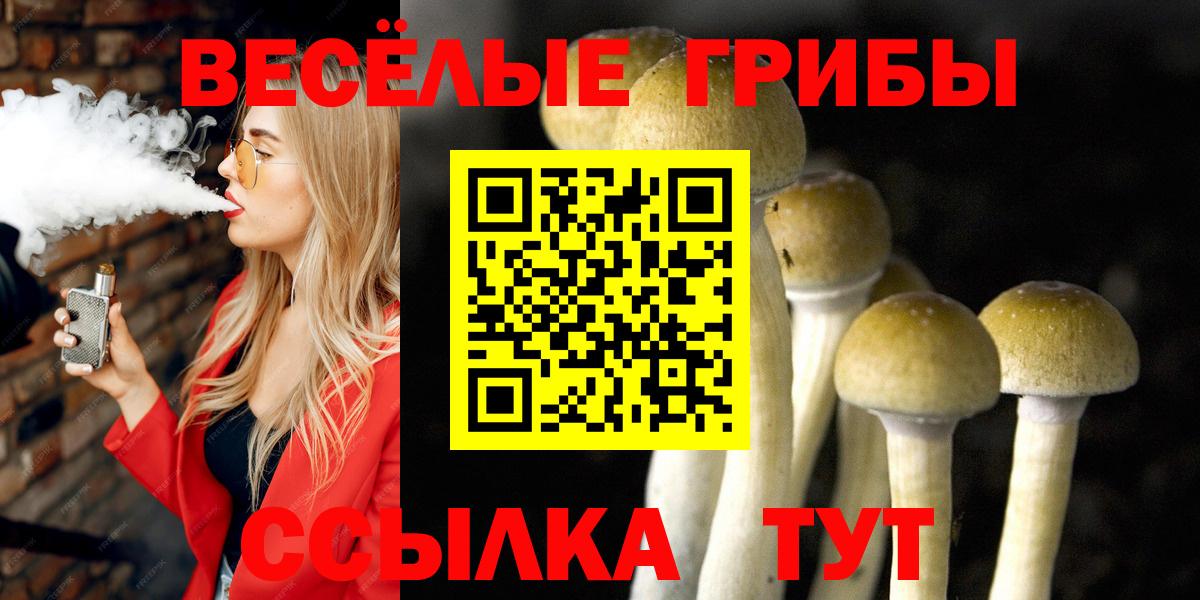 Галлюциногенные грибы Magic Shrooms  Вход с VPN  дарнет шоп  Каменск-Уральский 
